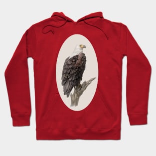 Eagle Hoodie